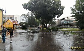 Vėtra Druskininkuose laužė medžius