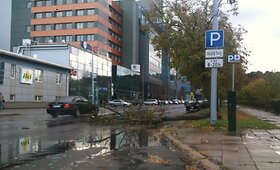 Antradienio audros padariniai