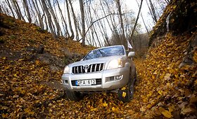 &bdquo;Toyota&ldquo; visureigių žygis