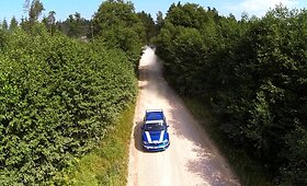 Vaidoto Žalos treniruotės