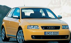 &bdquo;Kar&scaron;tieji&ldquo; hečbekai už 6 000 eurų