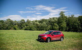 Atnaujintas &bdquo;Peugeot 2008&ldquo; krosoveris