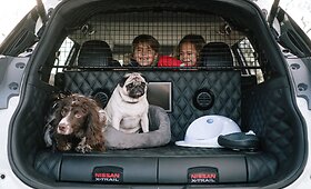 &bdquo;Nissan X-Trail 4dogs&ldquo; koncepcija