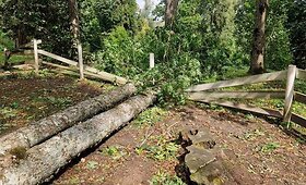 Audros nuniokotas Taujėnų dvaro parkas