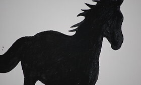 Pasaulio lietuvių jaunimo susitikimo 2016 akimirkos