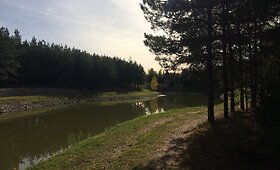Ramybės oazė Mickevičių ūkyje
