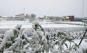 Lietuvoje i&scaron;krito sniegas