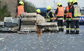 Austrijos automagistralėje eismą blokavo tūkstančiai vi&scaron;tų