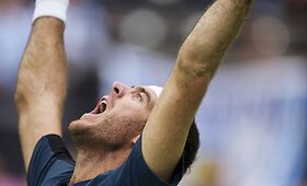 Juanas Martinas del Potro triumfavo Roterdamo turnyre