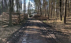 Mi&scaron;ko tvarkymas sudarkė kelią Vilniaus pakra&scaron;ty