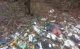 &Scaron;iuk&scaron;lynai aplink Vilniaus taborą