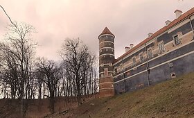 Medžiai prie Panemunės pilies