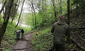 Pavilnių regioniniame parke užtveriami takai kalnų dviratininkams