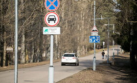 Vingio parke dėl varlių ribojamas eismas