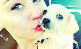 Miley Cyrus namuose &ndash; naujas keturkojis augintinis