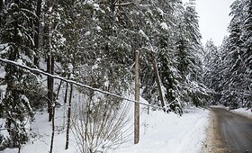 Dalis Vilniaus vis dar be elektros