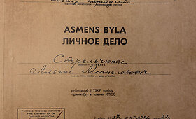 Seimo nario Algio Strelčiūno TSKP asmens byla