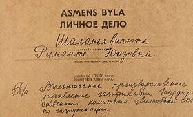 Seimo narės Rimantės &Scaron;ala&scaron;evičiūtės TSKP asmens byla