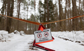Raitininkų kaimas