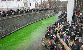 Vilnelė nusidažė žaliai