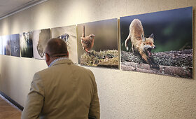 Lietuvos laukinės gamtos fotografijų konkurso &bdquo;Gintarinis žaltys 2014&ldquo; apdovanojimai