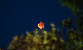 Savaitės Lietuvos įvykiai &ndash; 15min.lt fotografų kadruose 2015 m. rugsėjo - spalio 4d.