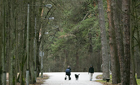Sekmadienio ramybė Vingio parke