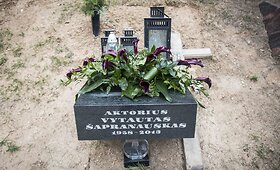 Vytauto &Scaron;apranausko kapas 2016 m. balandžio mėnesį