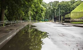 Vilniaus Kazio &Scaron;kirpos alėja