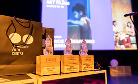 15-ojo Vilniaus tarptautinio trumpųjų filmų festivalio apdovanojimai