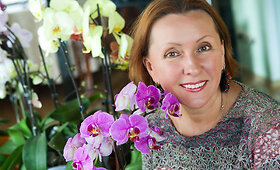 Vaivos Budraitytės orchidėjų kolekcija