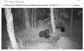 Internete plintančioje nuotraukoje matomas lokys užfiksuotas ne Lietuvos, o Aliaskos mi&scaron;ke