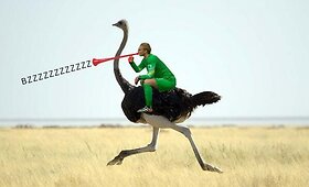Jasperas Cillessenas internautų memuose