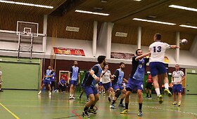  Europos universitetų sporto žaidynės: rankinis