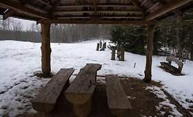 Jomantų mi&scaron;ko pažintinis takas &ndash; daug temų ir visos apie gamtą