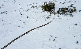 Auk&scaron;tumalos pažintinis takas &ndash; pažink ir patirk pelkę