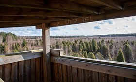 &Scaron;auklių riedulyno pažintinis takas