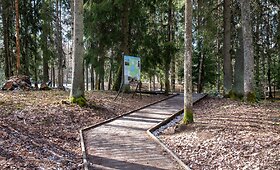 Ilgio ežero basų kojų takas