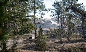Naglių gamtinio rezervato pažintinis takas