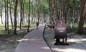 Kelionė Karaliaučiaus pajūriu ir Piliavos karinis miestas