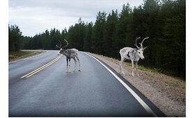 Autostogos Norvegijoje