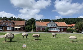 Kur&scaron;ių Nerija &ndash; ko gero draugi&scaron;kiausia kryptis, judant su ratukais