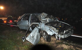 Vilniuje ketvirtadienio vakarą briedis sukėlė kelių automobilių avariją