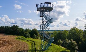 Lygumų apžvalgos bok&scaron;tas