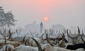 Mundari genties stovykla