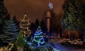 Žiemos miegu &Scaron;iauliuose primigti nepavyks
