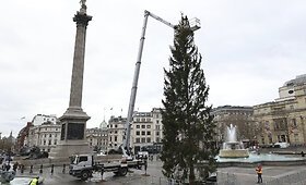 Trafalgaro aik&scaron;tės Kalėdų eglė 2021 m.