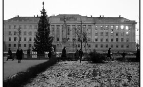 Kalėdinių &Scaron;iaulių eglių mados