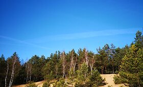Bartku&scaron;kio kopa