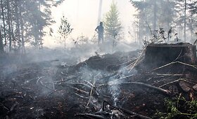 Endriu&scaron;iuose užsiliepsnojo mi&scaron;kas
